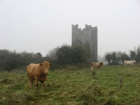 Dunmahon Castle