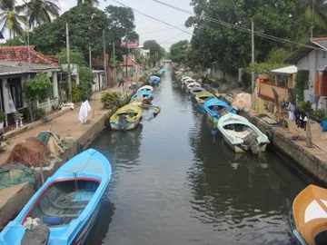Central Canal
