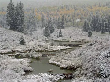 Maroon Bells-Snowmass Wilderness - White River