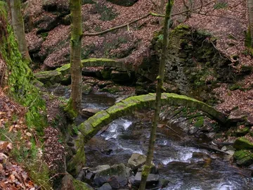 Healey Dell Nature Reserve
