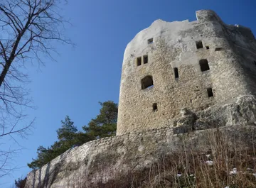 Neu-Homburg Castle