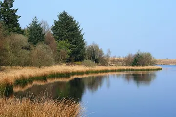Fannyside Lochs
