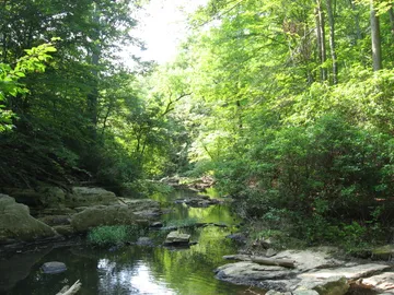 Quantico Creek