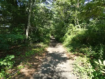 Moosup Valley State Park Trail