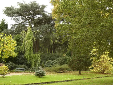 Arboretum trompenburg