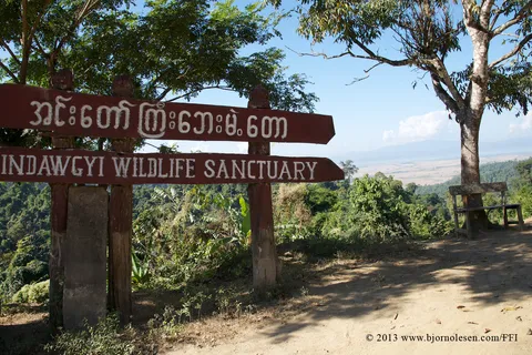 Indawgyi Lake Wildlife Sanctuary