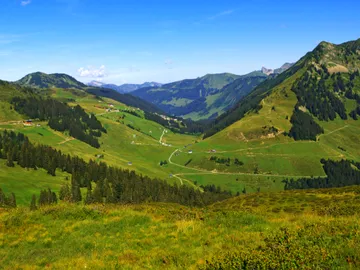 Bregenz Forest Mountains