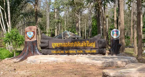 Ton Sak Yai Forest Park